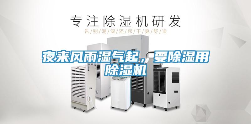 夜来风雨湿气起，要除湿用猫咪成人官网