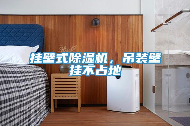 挂壁式猫咪成人官网，吊装壁挂不占地