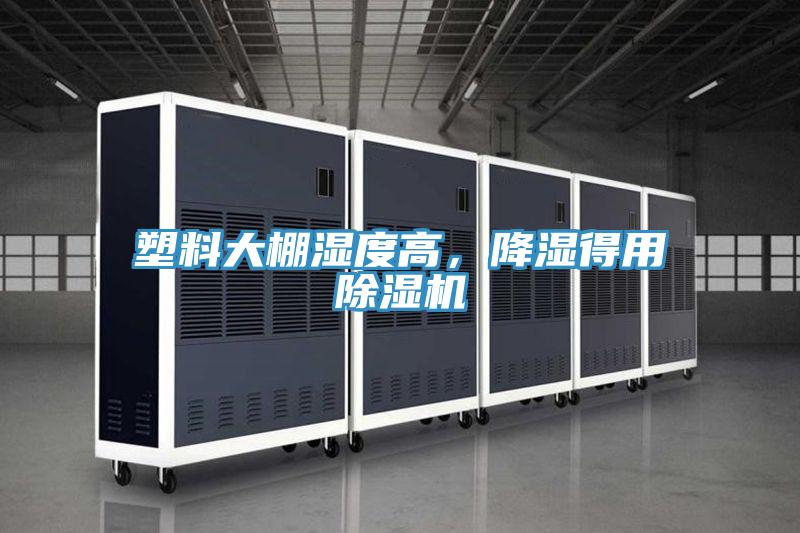 塑料大棚湿度高，降湿得用猫咪成人官网