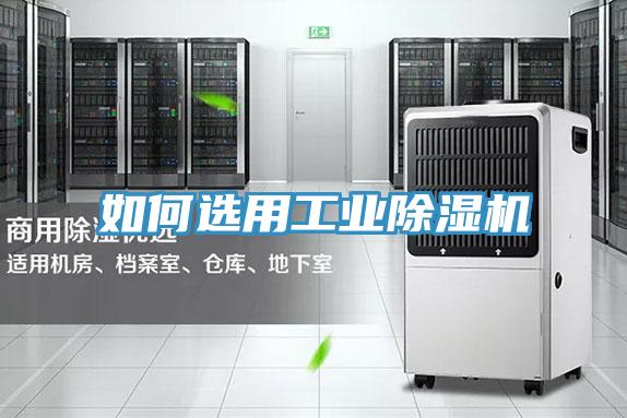 如何选用工业猫咪成人官网