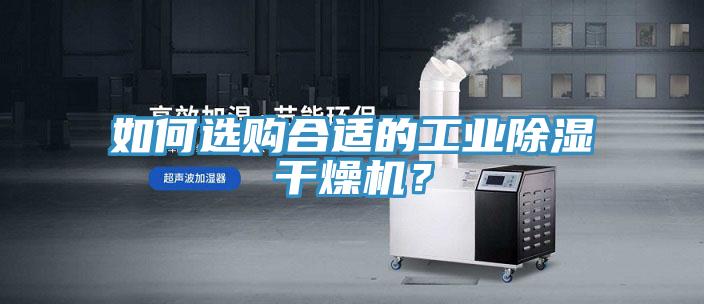 如何选购合适的工业除湿干燥机？