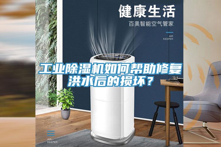 工业猫咪成人官网如何帮助修复洪水后的损坏？