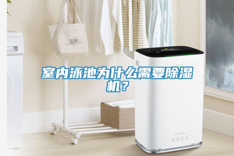 室内泳池为什么需要猫咪成人官网？