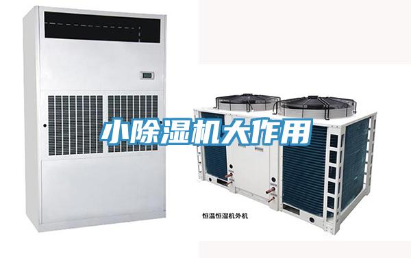 小猫咪成人官网大作用