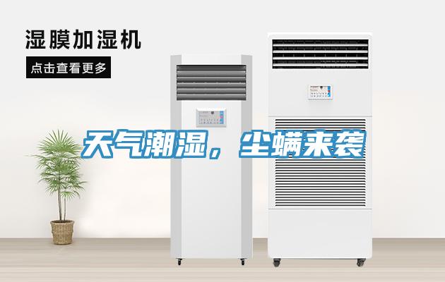 天气潮湿，尘螨来袭