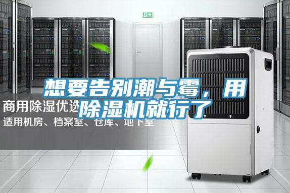 想要告别潮与霉，用猫咪成人官网就行了