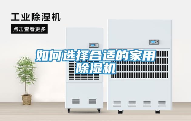 如何选择合适的家用猫咪成人官网