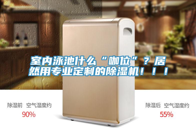 室内泳池什么“咖位”？居然用专业定制的猫咪成人官网！！！