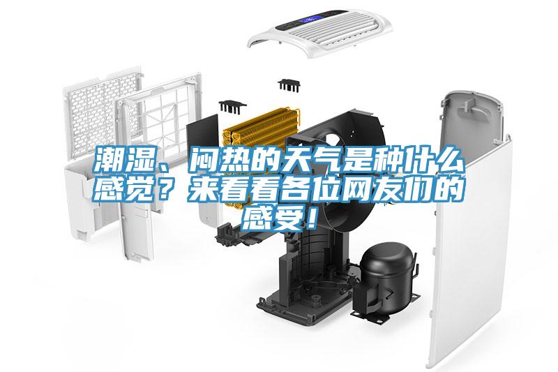 潮湿、闷热的天气是种什么感觉？来看看各位网友们的感受！