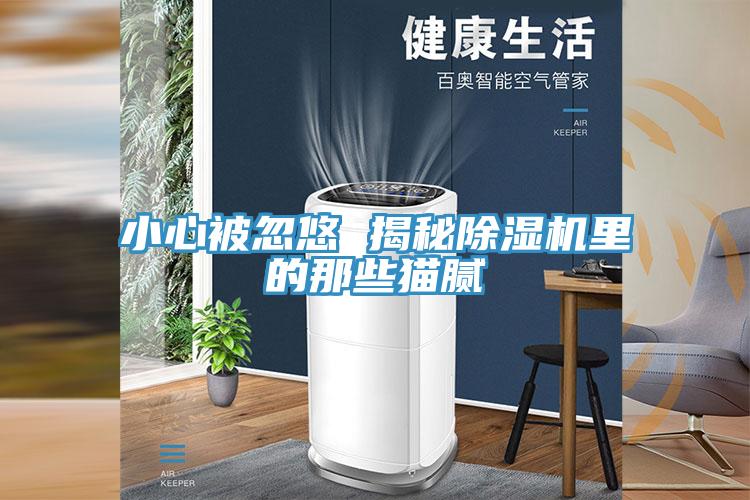 小心被忽悠 揭秘猫咪成人官网里的那些猫腻
