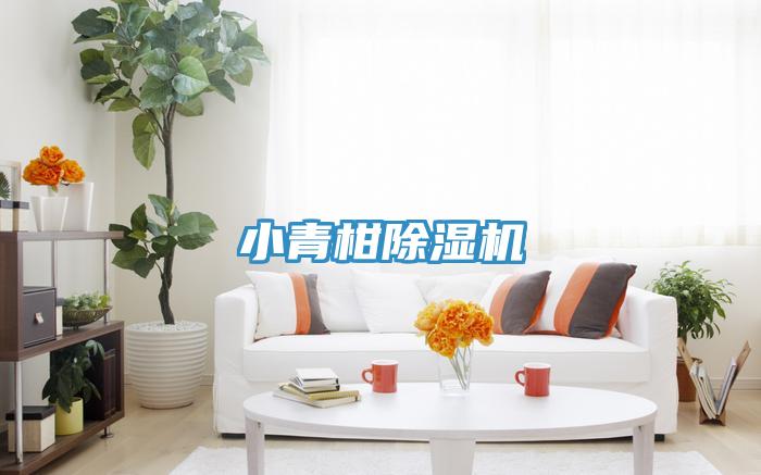 小青柑猫咪成人官网