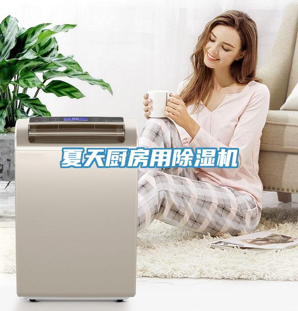 夏天厨房用猫咪成人官网