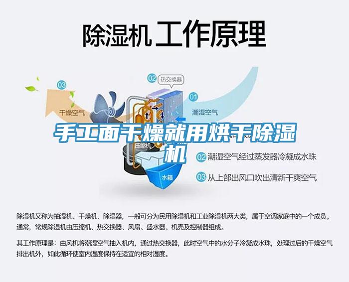 手工面干燥就用烘干猫咪成人官网