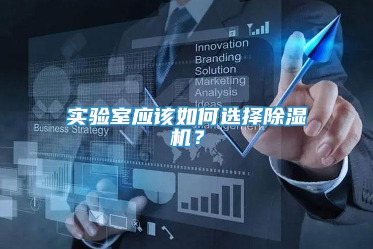 实验室应该如何选择猫咪成人官网？