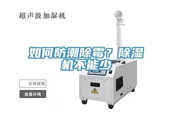 如何防潮除霉？猫咪成人官网不能少