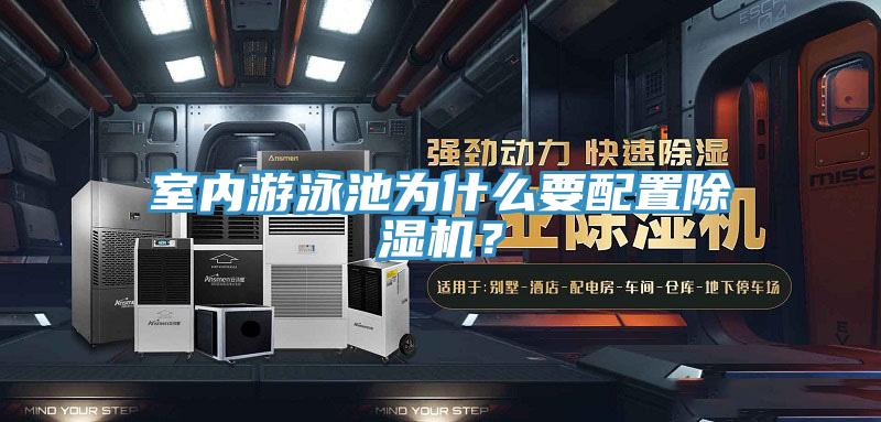 室内游泳池为什么要配置猫咪成人官网？