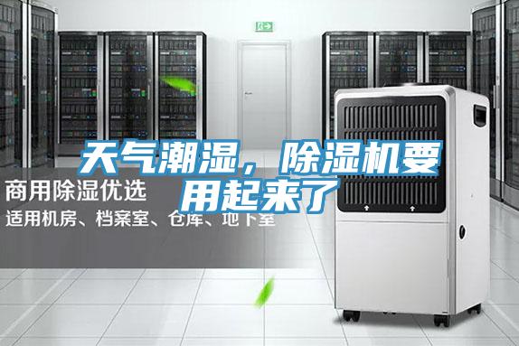天气潮湿，猫咪成人官网要用起来了