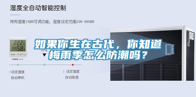 如果你生在古代，你知道梅雨季怎么防潮吗？