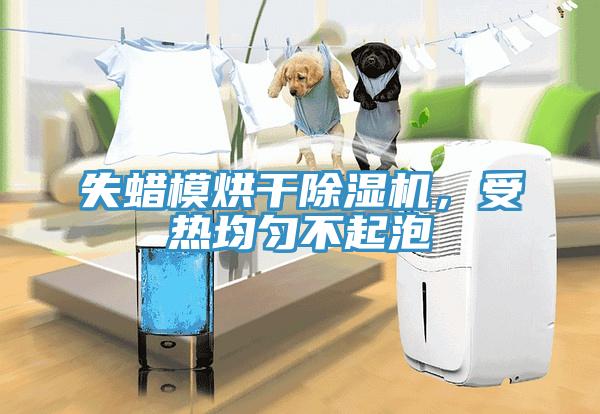 失蜡模烘干猫咪成人官网，受热均匀不起泡