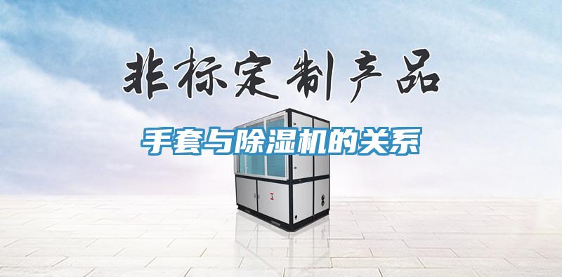 手套与猫咪成人官网的关系