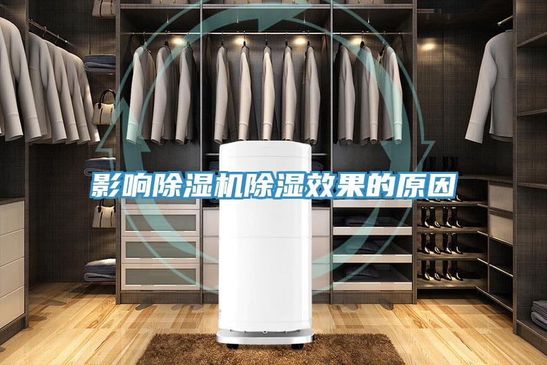 影响猫咪成人官网除湿效果的原因
