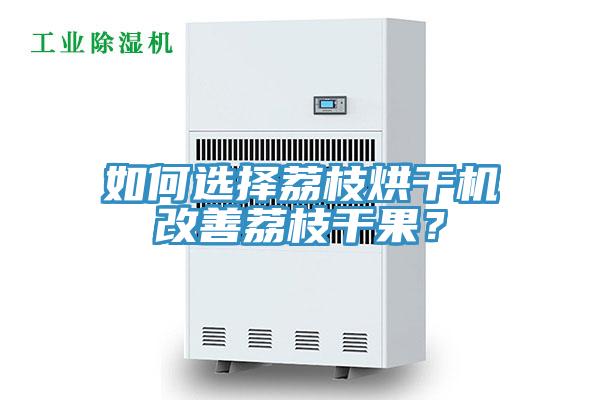 如何选择荔枝烘干机改善荔枝干果？