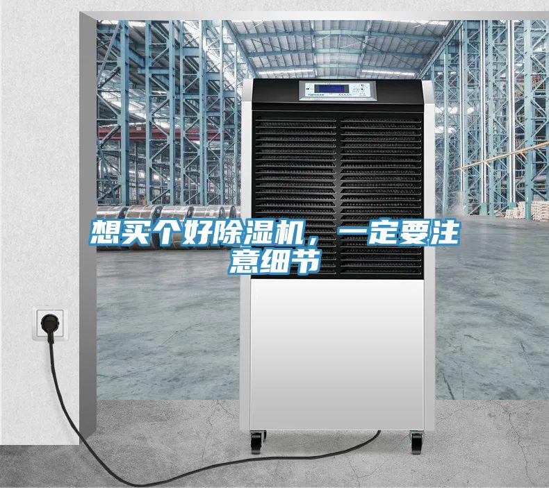想买个好猫咪成人官网，一定要注意细节