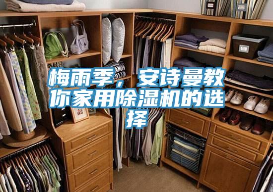 梅雨季，猫咪成人在线视频教你家用猫咪成人官网的选择