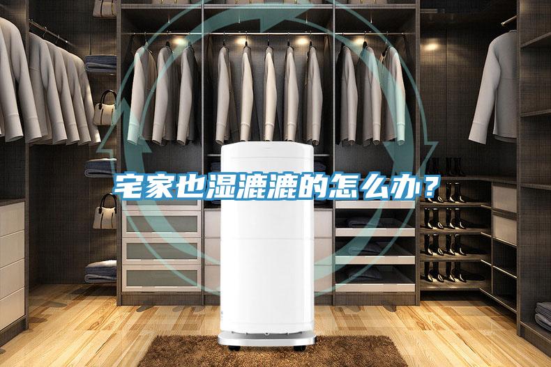 宅家也湿漉漉的怎么办？