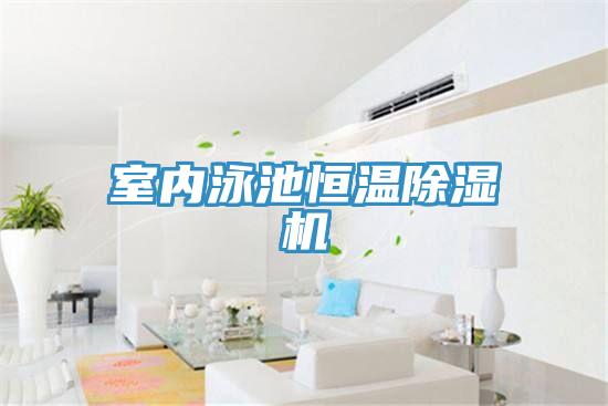 室内泳池恒温猫咪成人官网
