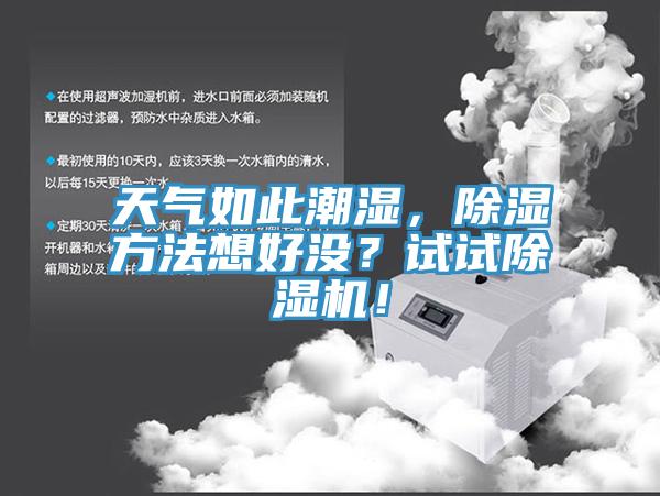天气如此潮湿，除湿方法想好没？试试猫咪成人官网！
