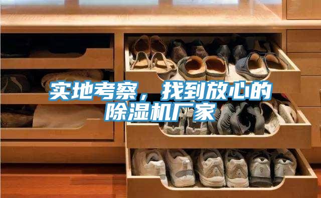 实地考察，找到放心的猫咪成人官网厂家