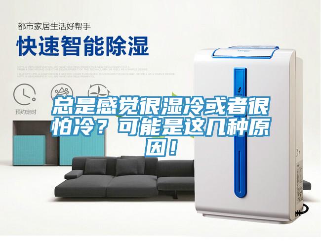 总是感觉很湿冷或者很怕冷？可能是这几种原因！