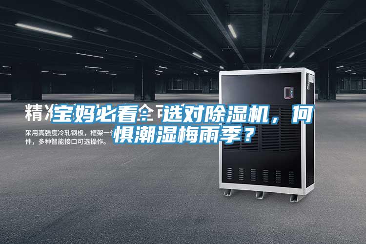 宝妈必看：选对猫咪成人官网，何惧潮湿梅雨季？
