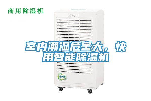 室内潮湿危害大，快用智能猫咪成人官网
