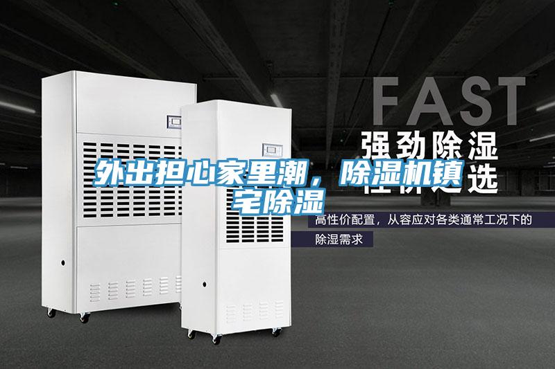 外出担心家里潮，猫咪成人官网镇宅除湿