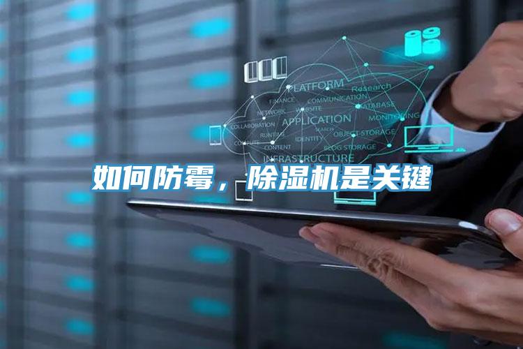 如何防霉，猫咪成人官网是关键