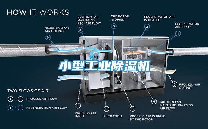 小型工业猫咪成人官网
