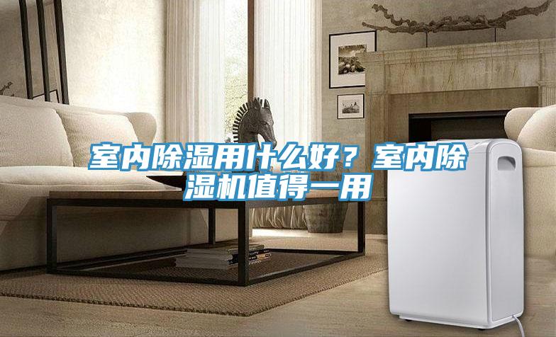 室内除湿用什么好？室内猫咪成人官网值得一用