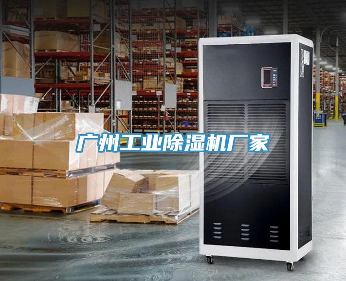 广州工业猫咪成人官网厂家