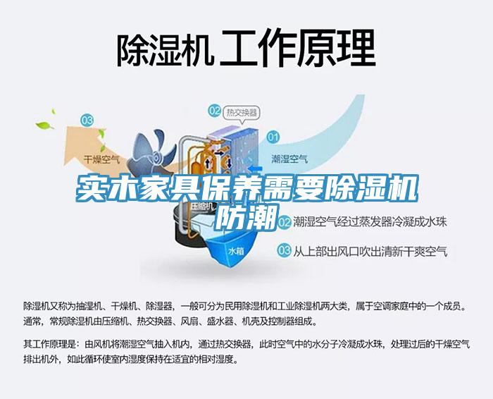 实木家具保养需要猫咪成人官网防潮