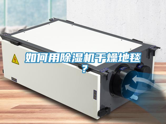 如何用猫咪成人官网干燥地毯？