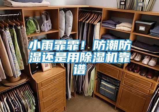 小雨霏霏！防潮防湿还是用猫咪成人官网靠谱