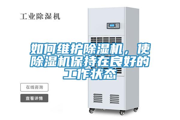 如何维护猫咪成人官网，使猫咪成人官网保持在良好的工作状态