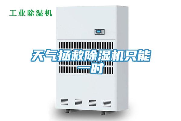 天气拯救猫咪成人官网只能一时