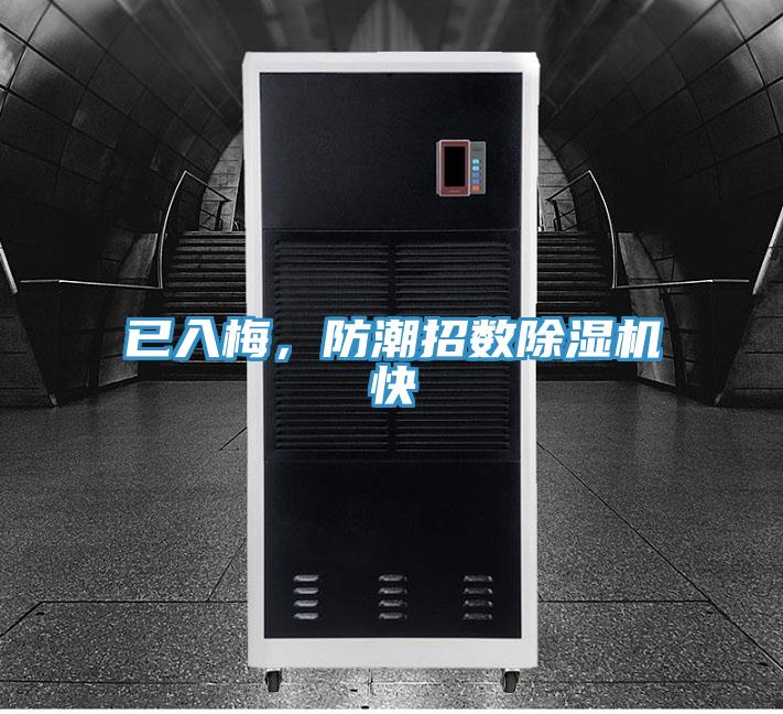 已入梅，防潮招数猫咪成人官网快