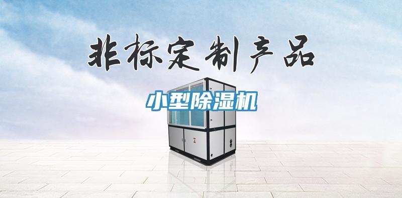 小型猫咪成人官网