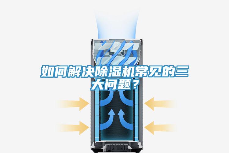 如何解决猫咪成人官网常见的三大问题？