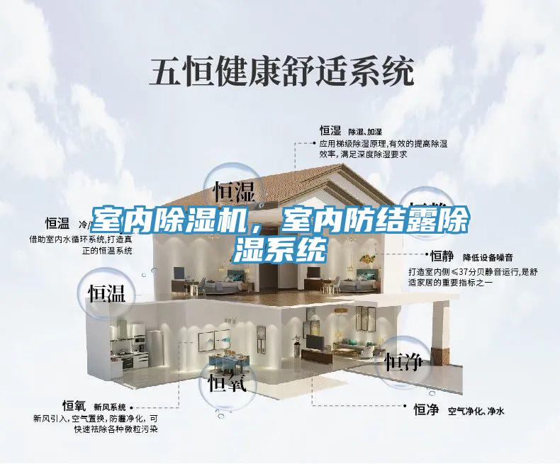 室内猫咪成人官网，室内防结露除湿系统