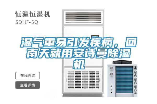 湿气重易引发疾病，回南天就用猫咪成人在线视频猫咪成人官网